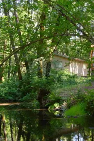 Pine Grove - Chambre
