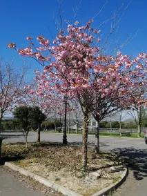 Tara View Apartments - Property grounds