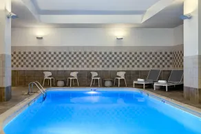 Hilton Garden Inn Indianapolis Downtown - Piscine