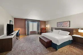 Hilton Garden Inn Omaha East/Council Bluffs - Chambre