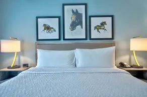 Homewood Suites Lexington-Hamburg - Rum