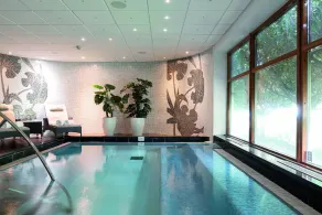 Elite Park Avenue Hotel - Pool