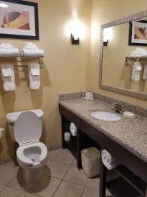 Comfort Suites Charleston West Ashley - Bathroom