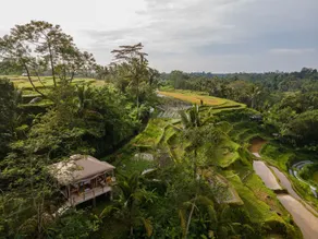 Nadi Nature Resort - Adults Only - View from room