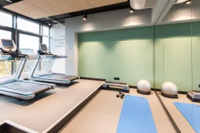Best Western Plus Hotel St. Raphael - Area fitness