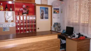 Hotel Arce - Reception