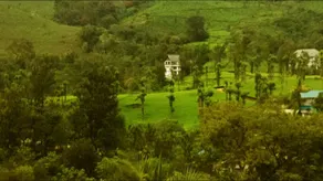 Gokulam Park Munnar - View from room