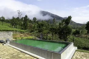 Tea and Experience Factory - Thema Collection - Pool