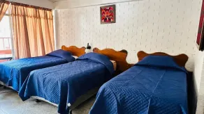 Royal Palace Hostal - Room