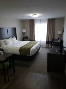 Comfort Inn & Suites - Chambre