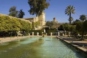Hostal Alcázar - Piscina