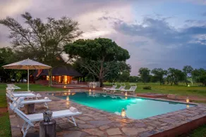 Zebras Crossing - Pool