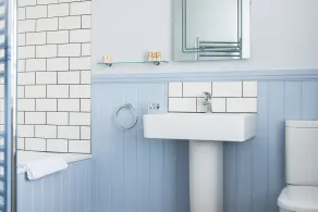 The Old Success Inn - Baño