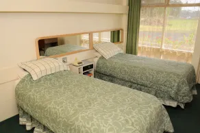 Peninsula Motor Inn - Room