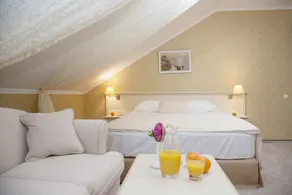 Pletnevskiy Inn - Room