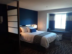 Microtel Inn & Suites by Wyndham Woodland Park - Chambre