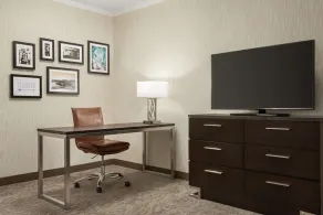 Embassy Suites by Hilton Chicago North Shore Deerfield - Chambre