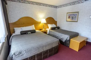 Bow View Lodge - Room