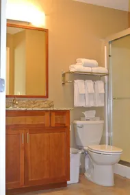 TownePlace Suites by Marriott Birmingham South - Salle de bain