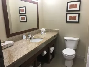 Comfort Suites Coralville I-80 - Salle de bain