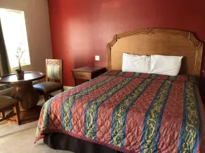 The Fly Inn - Room