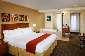 Holiday Inn Express Simi Valley by IHG - Chambre