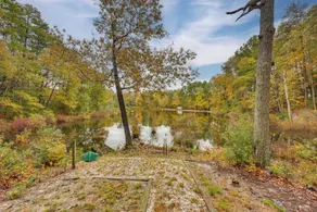 Lake Access, Tranquil Acreage: Farnham Cottage - Interiør
