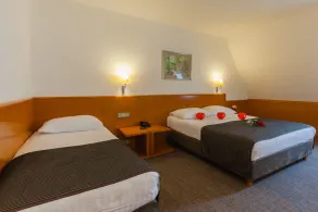 Grabovac Hotel - Rom