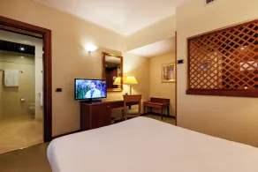 Hotel Excelsior Magenta - Room