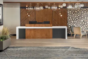 Residence Inn Denver South/Park Meadows Mall - Réception