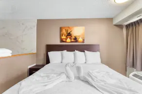 Red Roof Inn PLUS Chicago - Hoffman Estates - Chambre