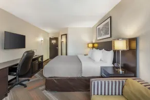 Quality Hotel - Chambre