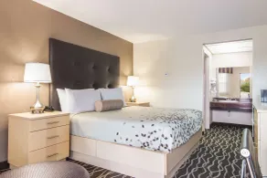 Americas Best Value Inn Alliance - Chambre