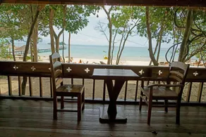 Tree House Bungalows - View from room