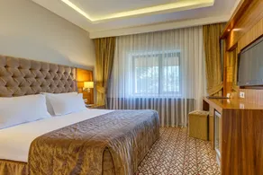 Buyuk Abant Hotel - View from room