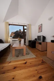 Apartments Four Leaf Clover Bansko to rent - Habitación