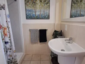 Carreg Cennen Cottage - Bathroom