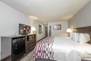Red Roof Inn Culpeper - Chambre