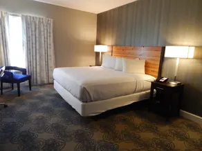 Hotel Finial BW Premier Collection Oxford - Anniston - Chambre