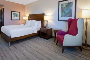 Hilton Garden Inn Roanoke - Chambre