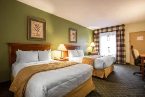 Clarion Inn & Suites Aiken South - Chambre
