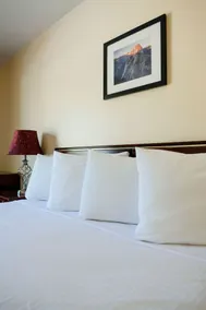 The Monarch Inn - Chambre
