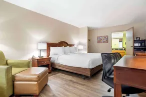Econo Lodge Moss Point - Pascagoula - Chambre
