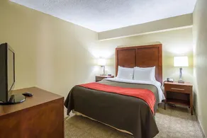 Comfort Inn Cleveland Downtown - Chambre