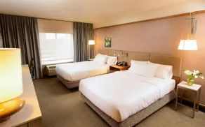 Hilton Garden Inn Rochester Downtown, MN - Chambre