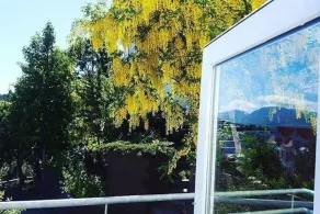 Akureyri Central Suite - Utsikt från rummet