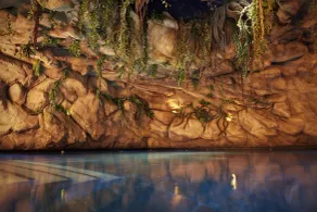 Hotel Thermen Bussloo - Apeldoorn - Piscine