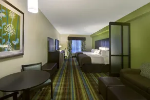 Holiday Inn Christiansburg Blacksburg by IHG - Chambre