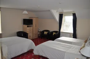 The Grey Bull B & B - Chambre