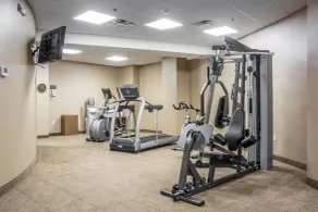 Comfort Inn The Pointe - Salle de remise en forme